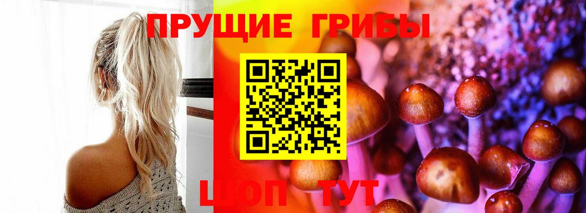 Псилоцибиновые грибы ЛСД Череповец
